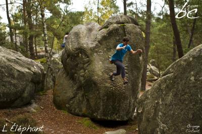 "Orange Circuit" (18)